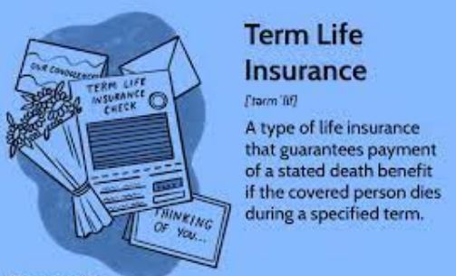 what is term life insurance